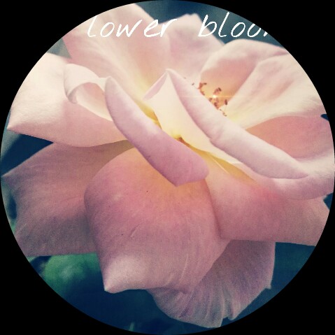 Picsart profile picture for @figurine