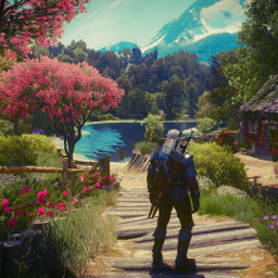 witcher thewitcher3 videogames beautiful colorful