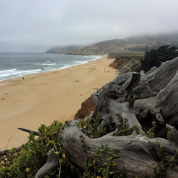 iphone beach nature sand oceanview